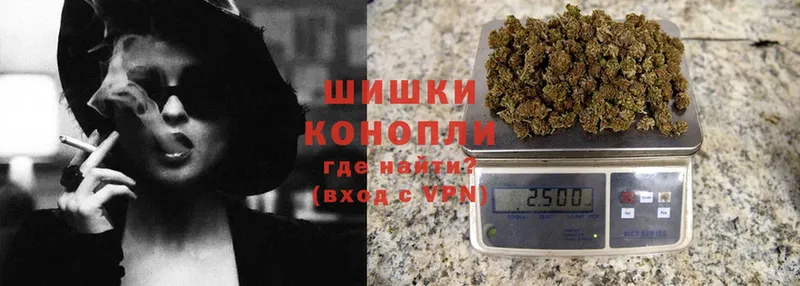 где купить   Всеволожск  Каннабис OG Kush 